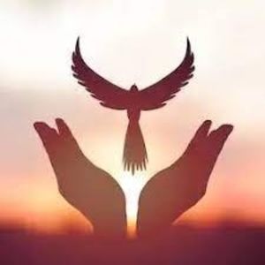 Meet your Posher, Kris